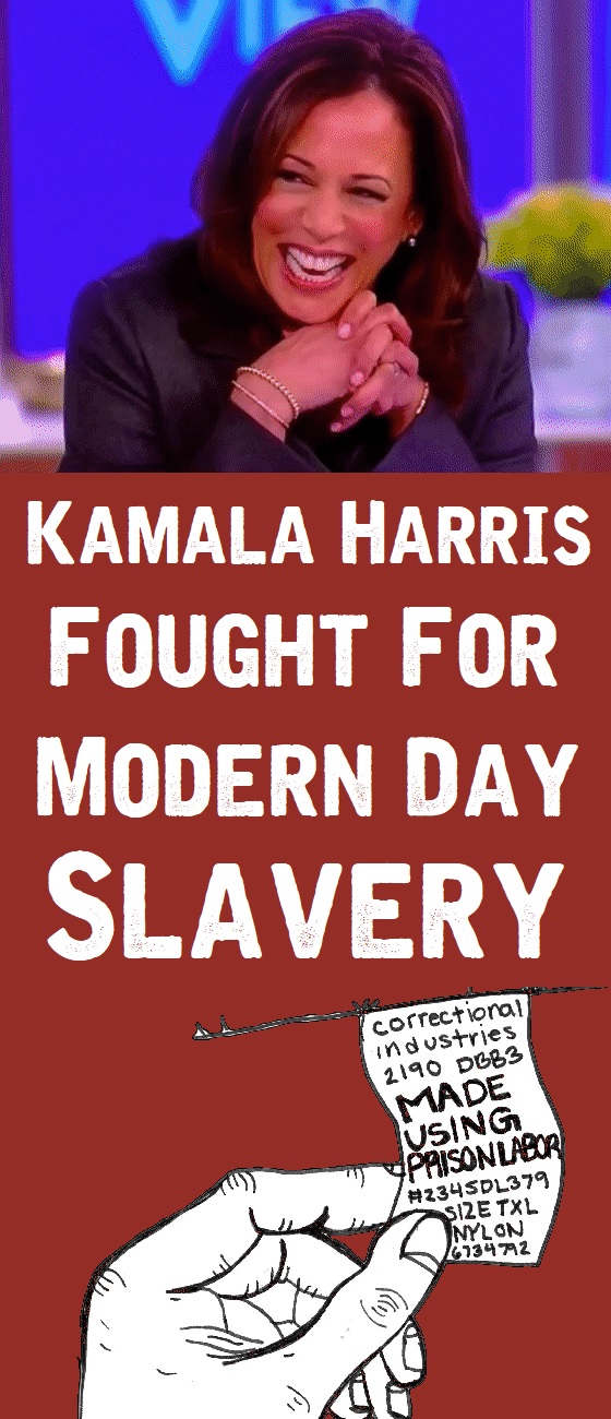 Kamala Harris was destroyed by Tulsi Gabbard in the Second Presidential Democrat Debate.