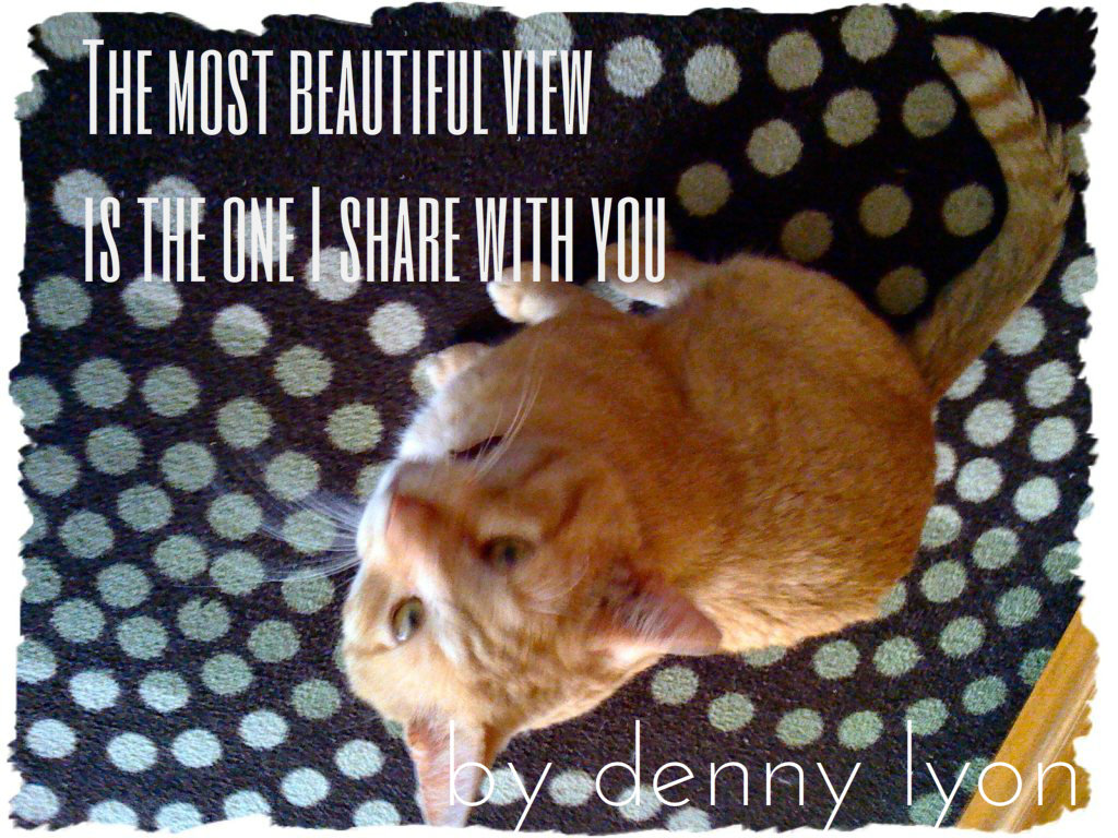 Funny Cat Lover Quotes. QuotesGram
