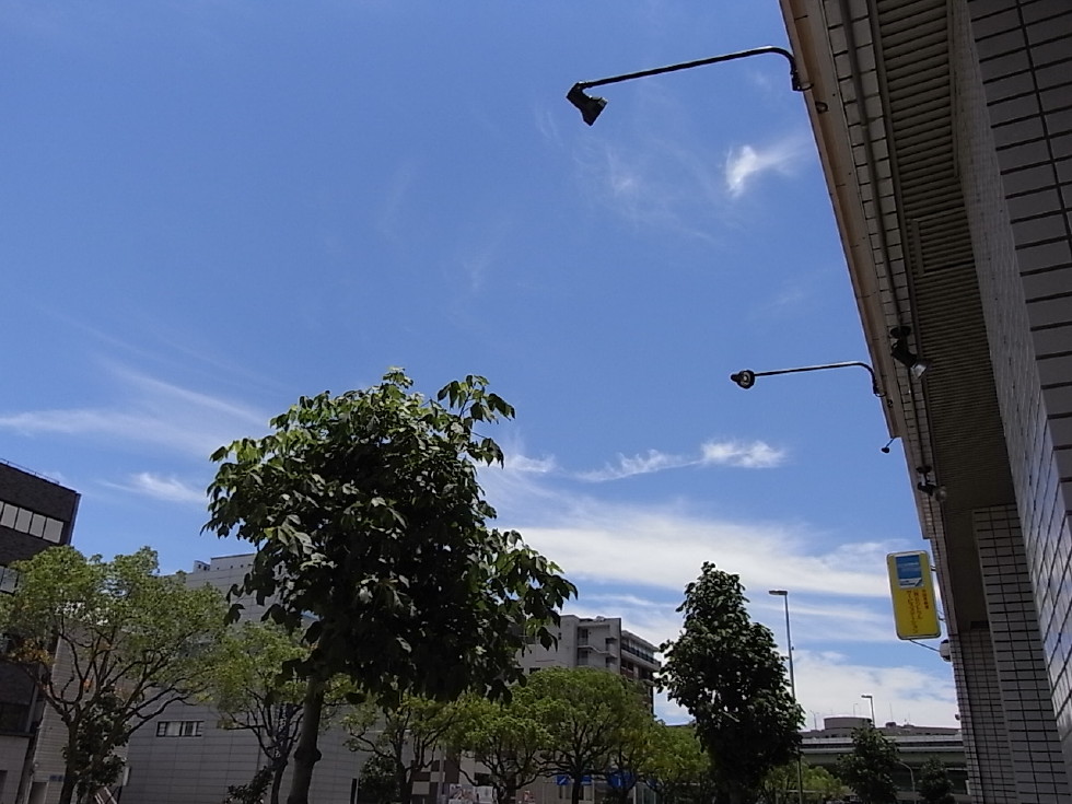 名古屋 天気 昨日 の 名古屋の過去の天気 7月7日