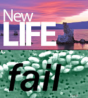 Estudos desmentem descoberta da Nasa  New+life