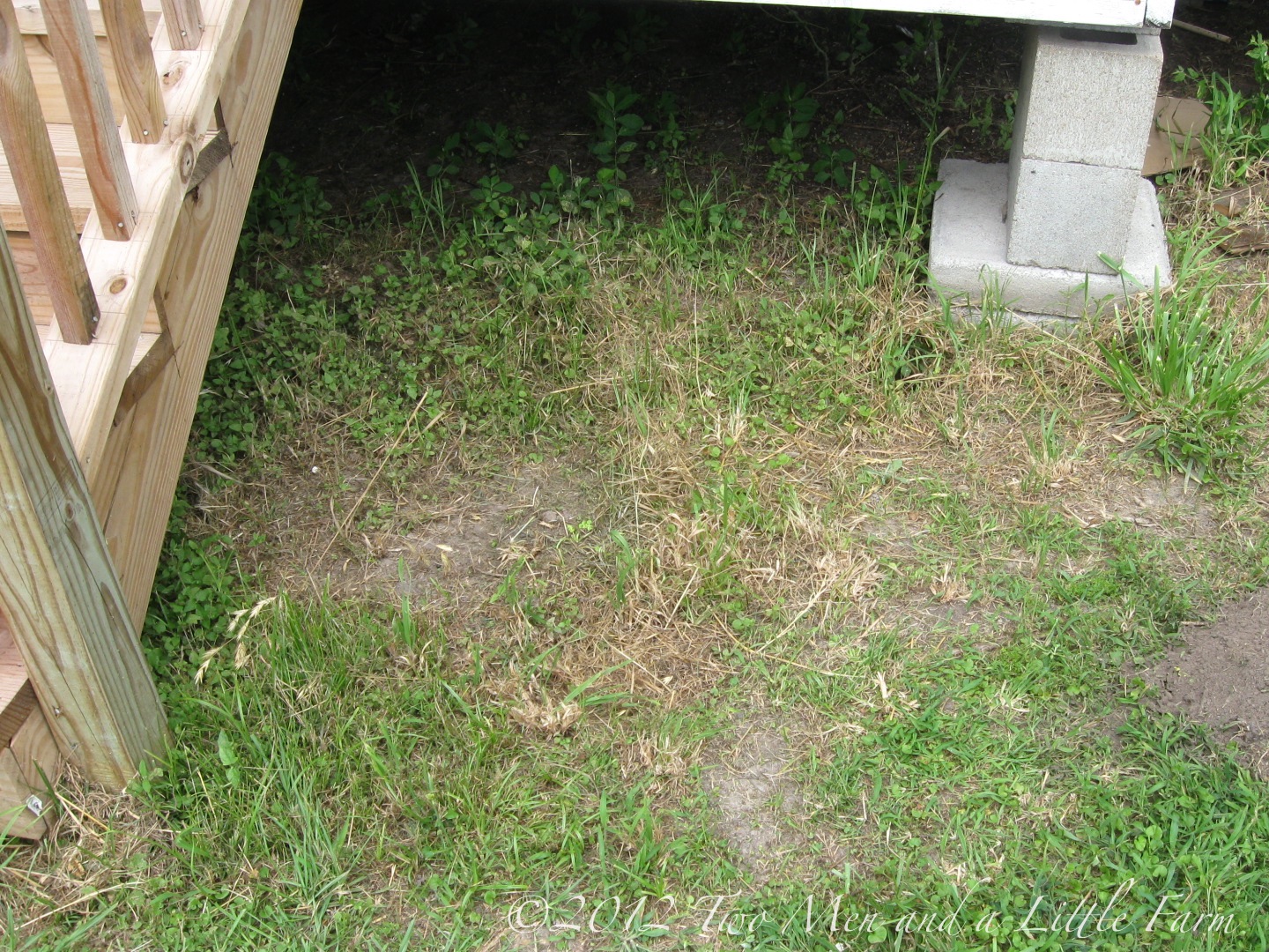 Two Men and a Little Farm: April 2012