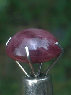 african ruby