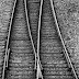 Decida-se: O caminho ou nada