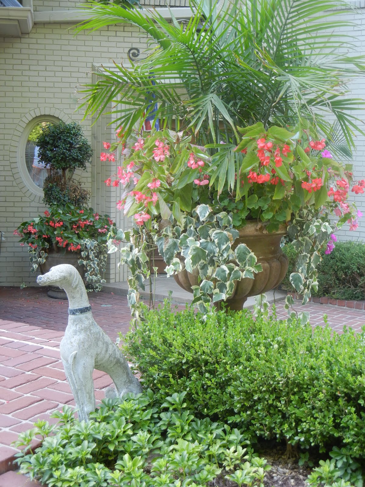 The French Tangerine kelly's garden