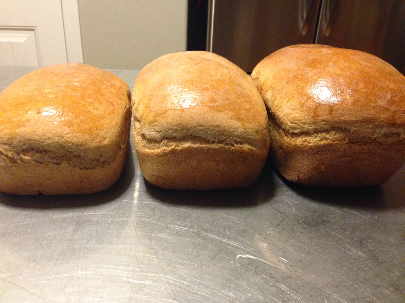 Lion Test Kitchen Mastering the Whole Wheat Bread lion headress