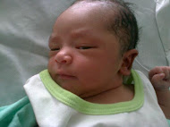 Syed Adib Bin Syed Firdaus