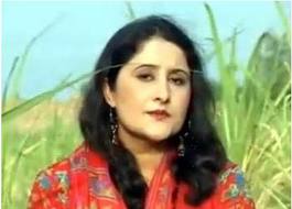Farukh Zeb Songs