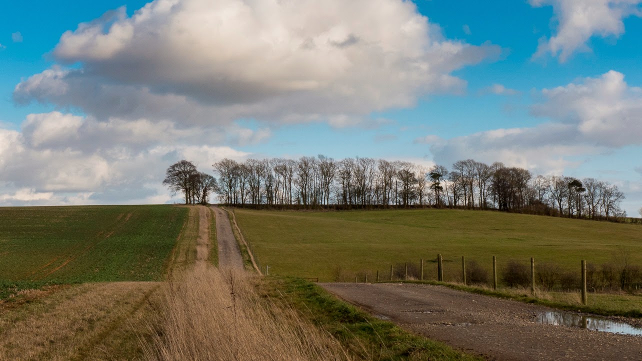 Mike's Natural Musings A Walk Along The Viking Way from Tealby in the