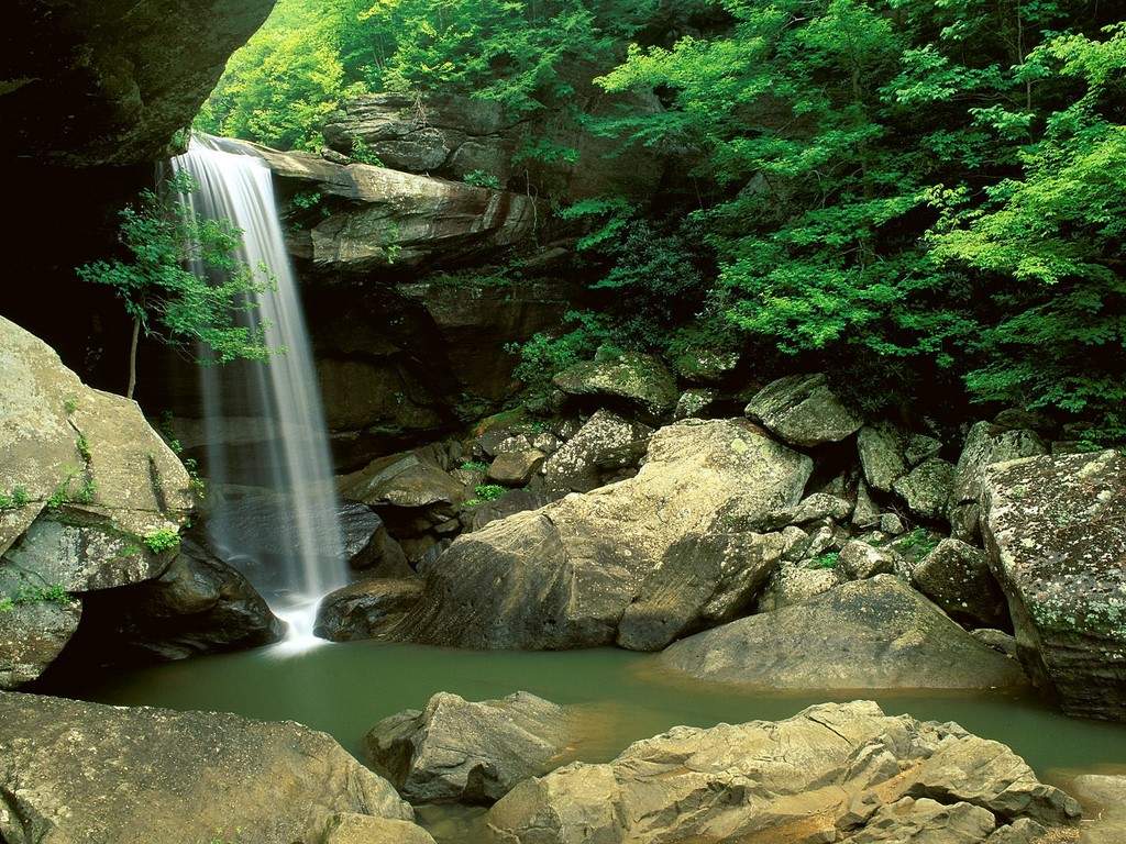 http://4.bp.blogspot.com/-42hOcfIBQQM/UCUrO1jetvI/AAAAAAAAAbw/31lEEAtjpwI/s1600/desktop%2Bnature%2Bimages.jpg