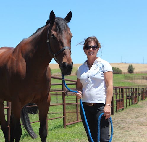 Tex, my beautiful OTTB