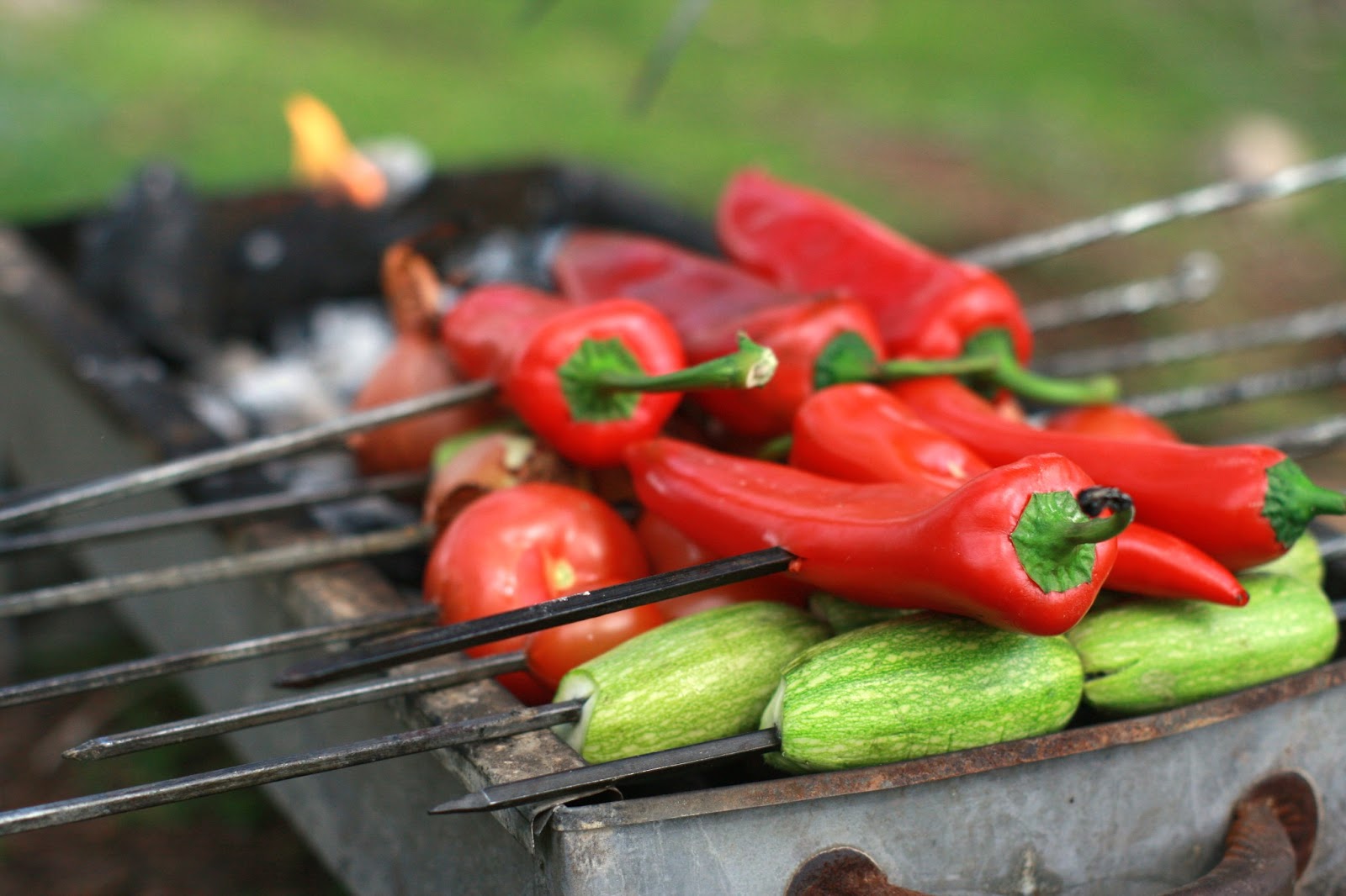 Walking by Faith An Arab Picnic in the Scandinavian Forest