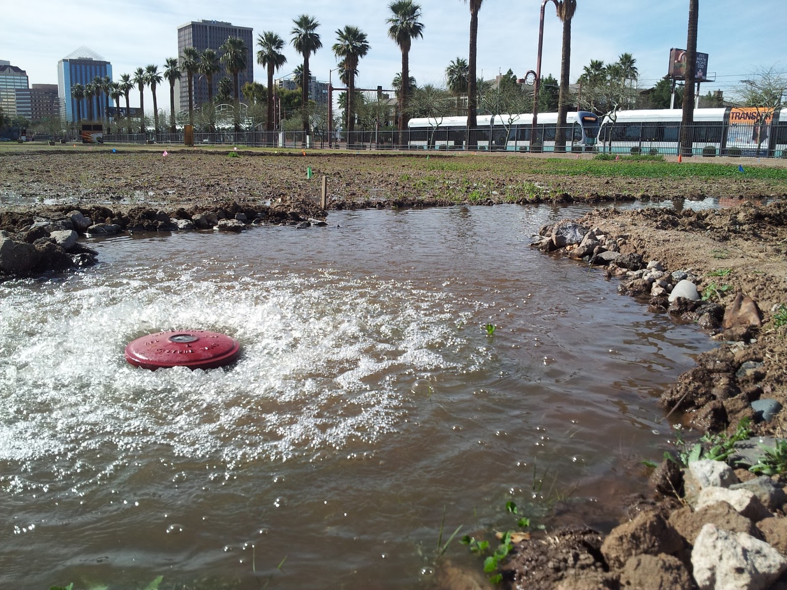 PURF Update Flood Irrigation. Phoenix Urban Research Farm The