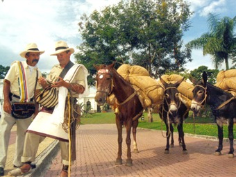 GOBERNACION ANTIOQUIA COLOMBIA gobernacion antioquia colombia: