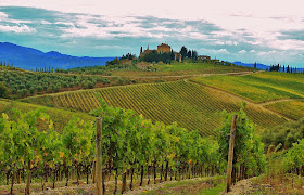Tuscany vineyards chianti classico region