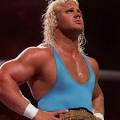 Mr. Perfect WWF