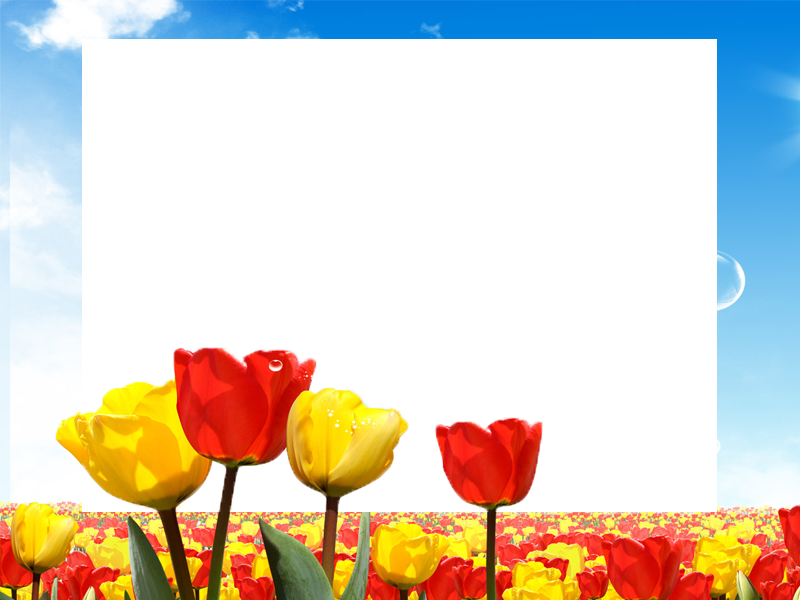 BINGKAI FOTO FLOWER AND NATURE OTHERS FRAME Tweet This Bookmark this ... BINGKAI FOTO FLOWER AND NATURE OTHERS FRAME Tweet This Bookmark this ...