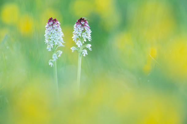 9 creative photo ideas to try in september cameraamazon