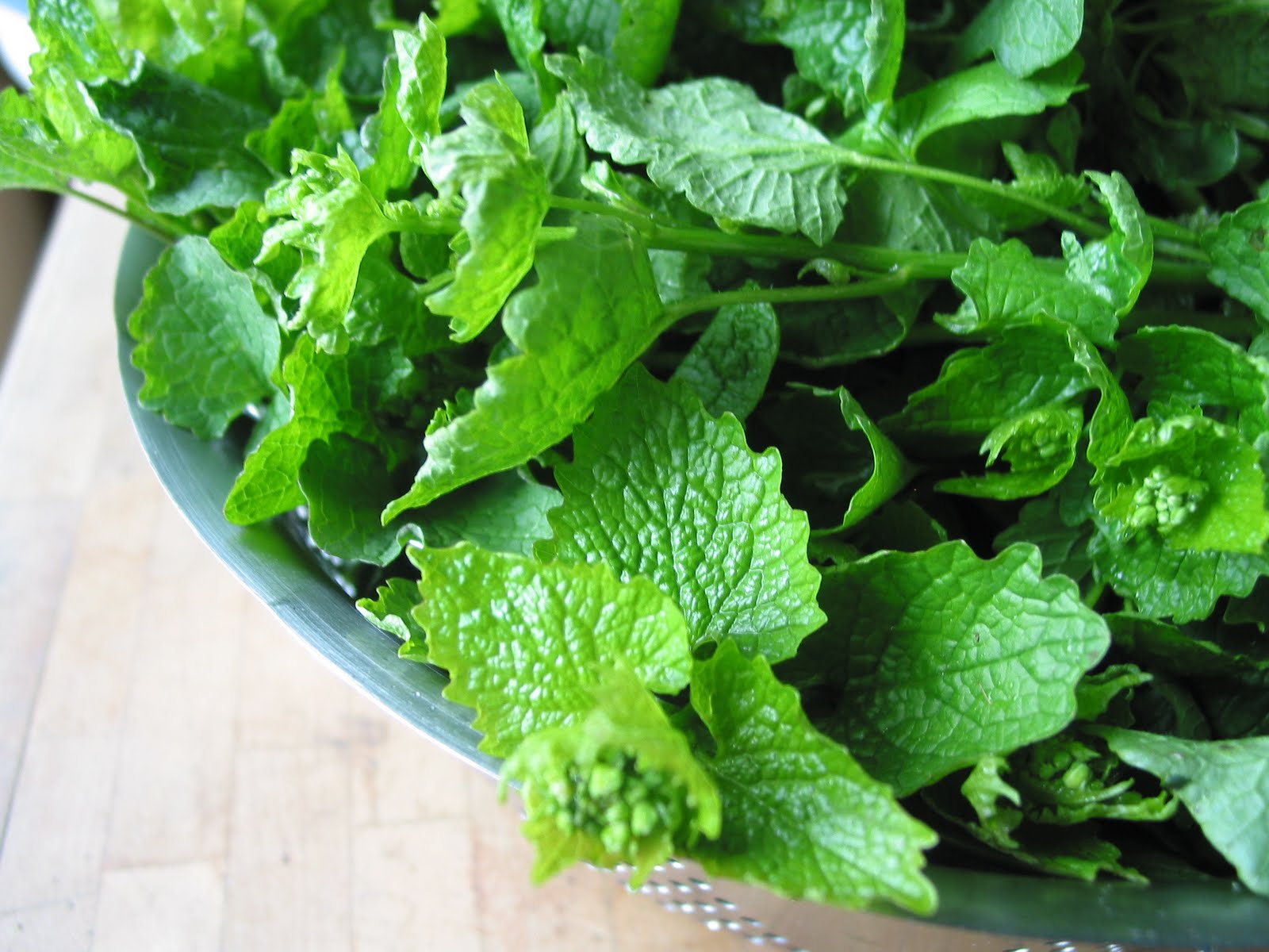 What Julia Ate Garlic Mustard Soup