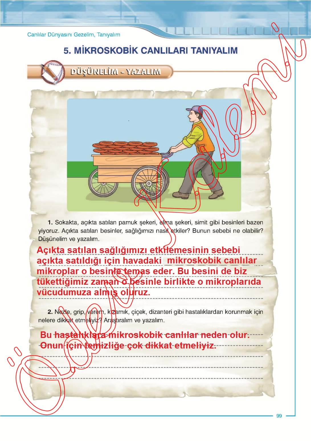 Sınıf fen ve teknoloji dersi sek yayınları öğrenci çalışma Sınıf fen ve teknoloji dersi sek yayınları öğrenci çalışma
