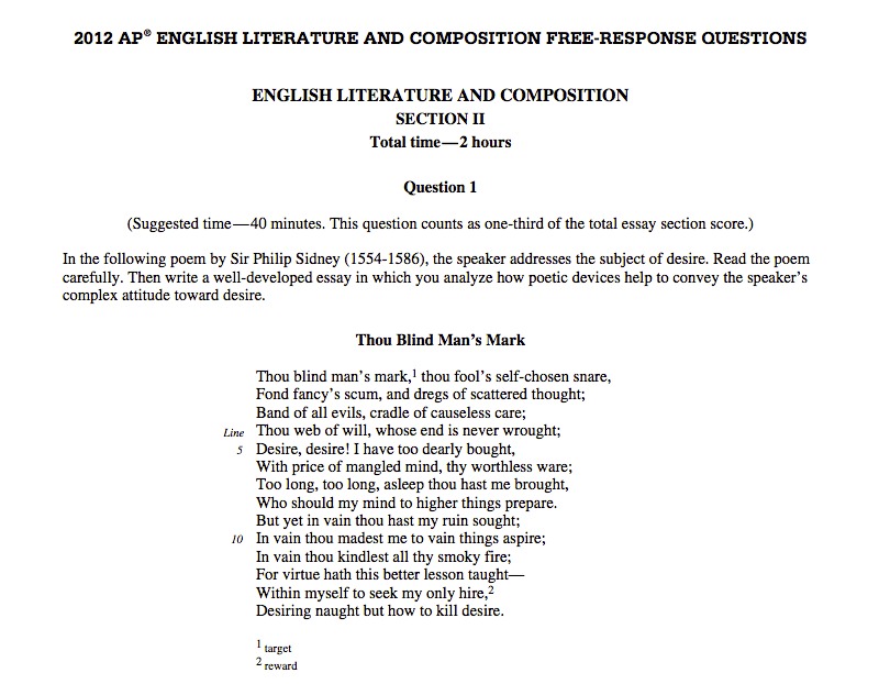 essay sample composition