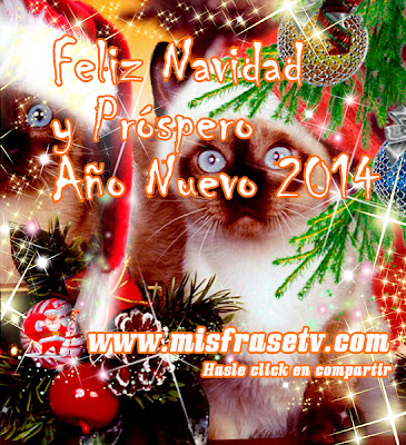 Imagenes con Frases Bonitas para Navidad y Año nuevo 2014 Imagenes con Frases Bonitas para Navidad y Año nuevo 2014