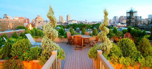 jardinitis: Jardines en azoteas