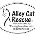 Alley Cat Rescue