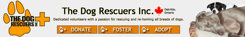 The Dog Rescuers Inc 