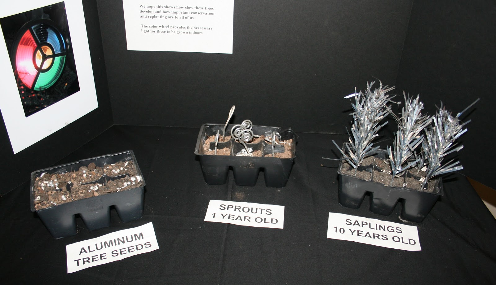 The Carpetbagger Aluminum Christmas Tree Museum