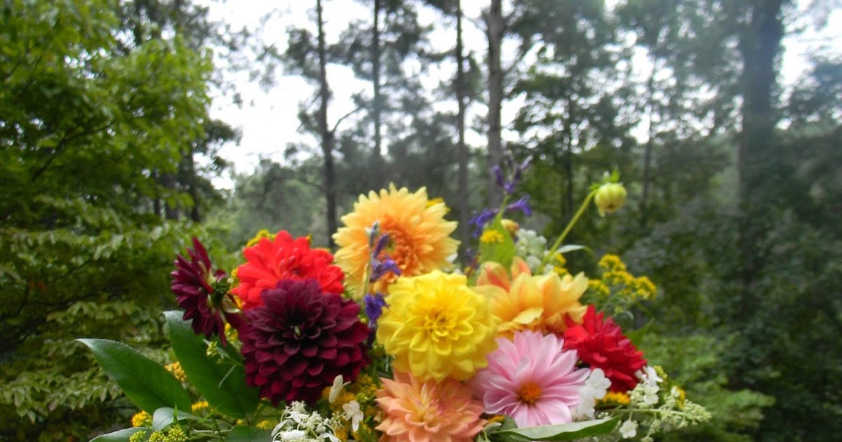 A Toile Tale Dahlias and Tomatoes