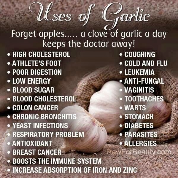 Great Uses of Garlic Medi Craze