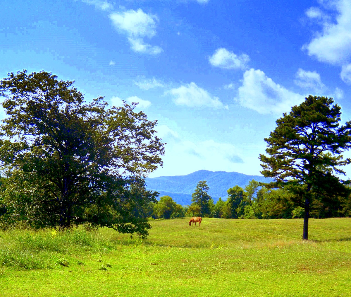 The Arrowood Trail Thru the Mountains Tombstone Tuesday Cleveland