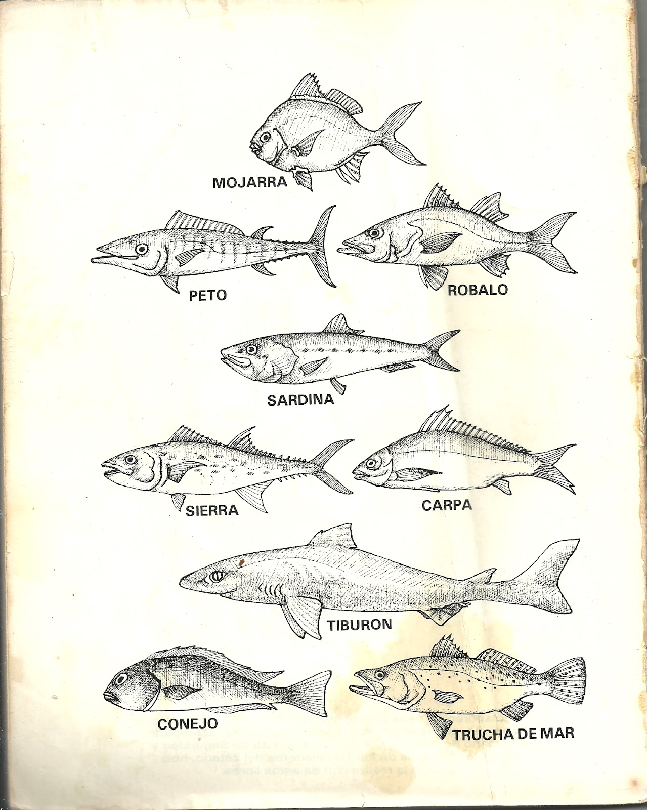 COMIDA ANTIGUAS comida antiguas: