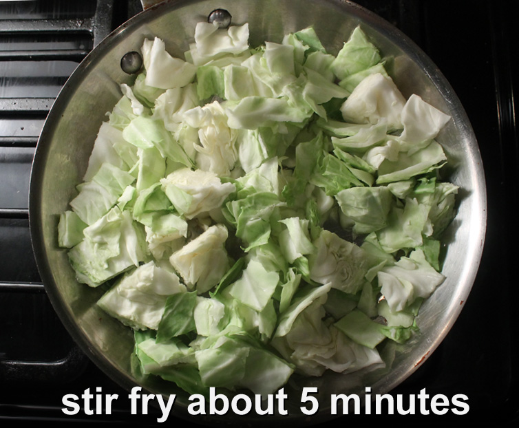 The 99 Cent Chef Hawaiian Kalua Pig & Cabbage Recipe