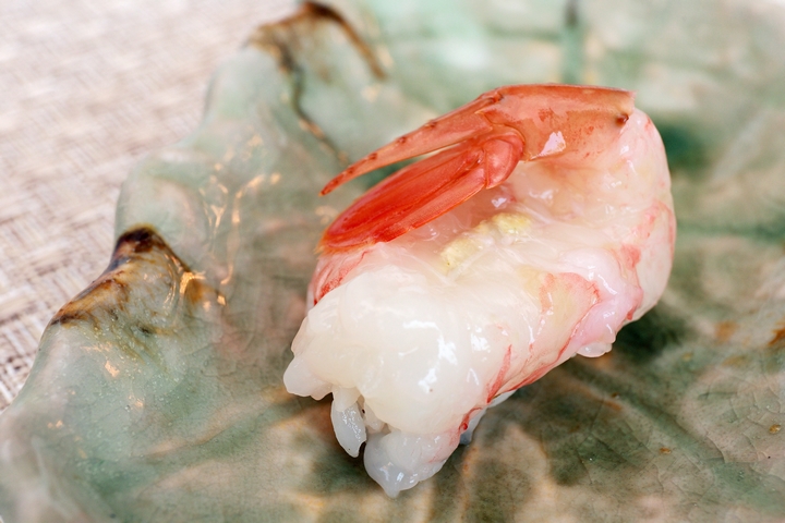 牡丹蝦握壽司 牡丹蝦握壽司