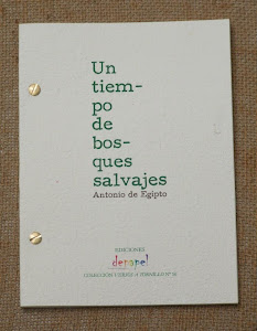 MIS PUBLICACIONES