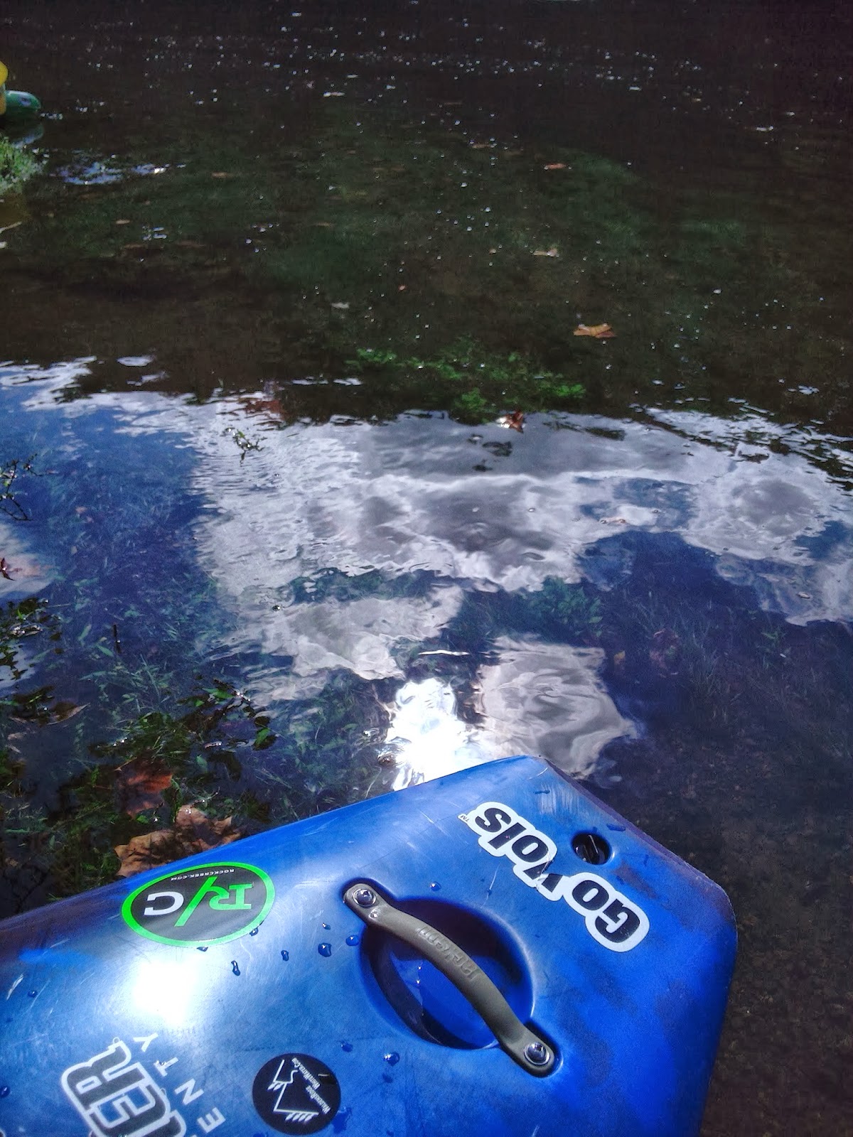 Hop. Spice. Travel. Kayaking the Clinch River