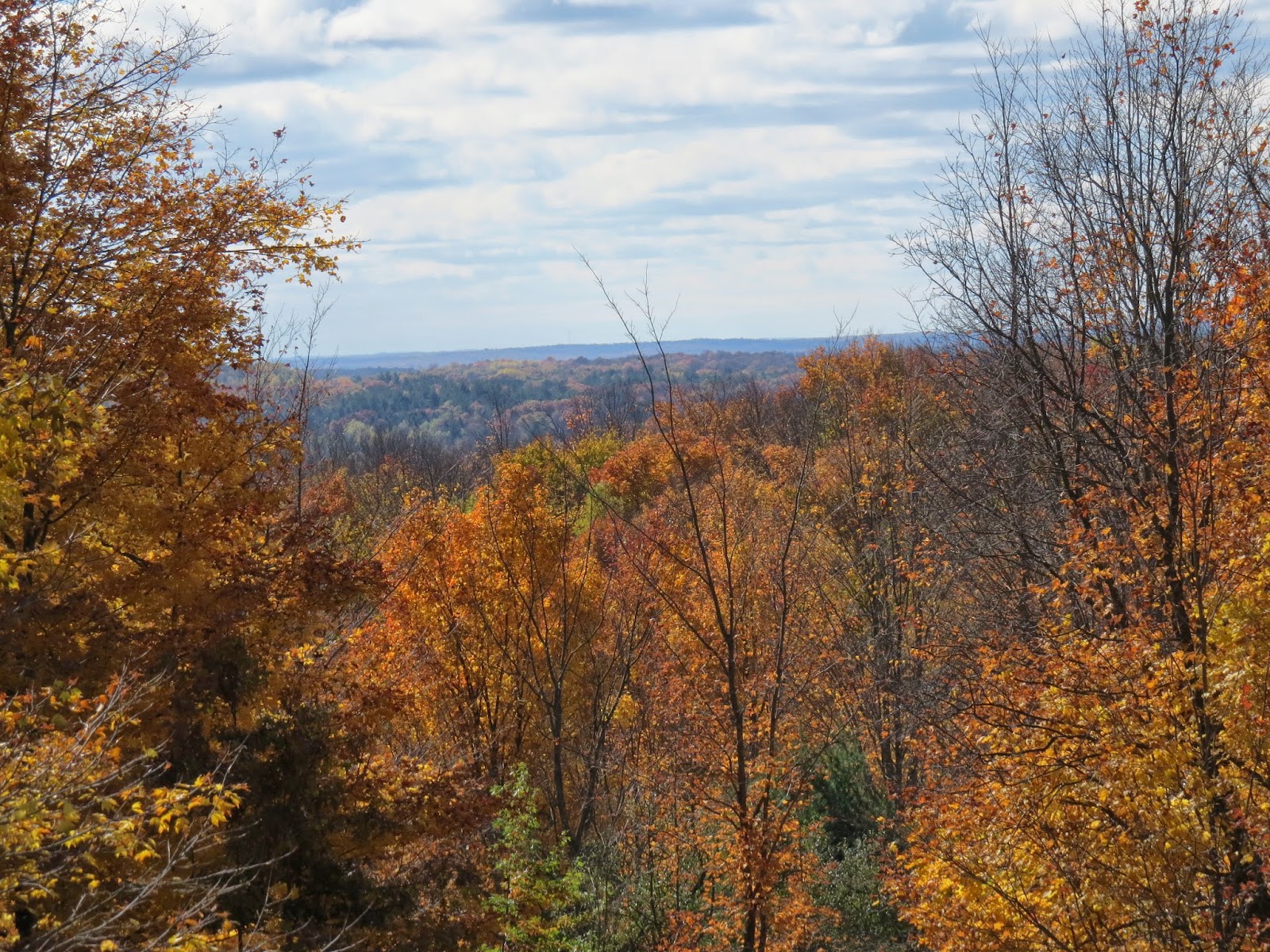 Lake County view from Hawkins Road