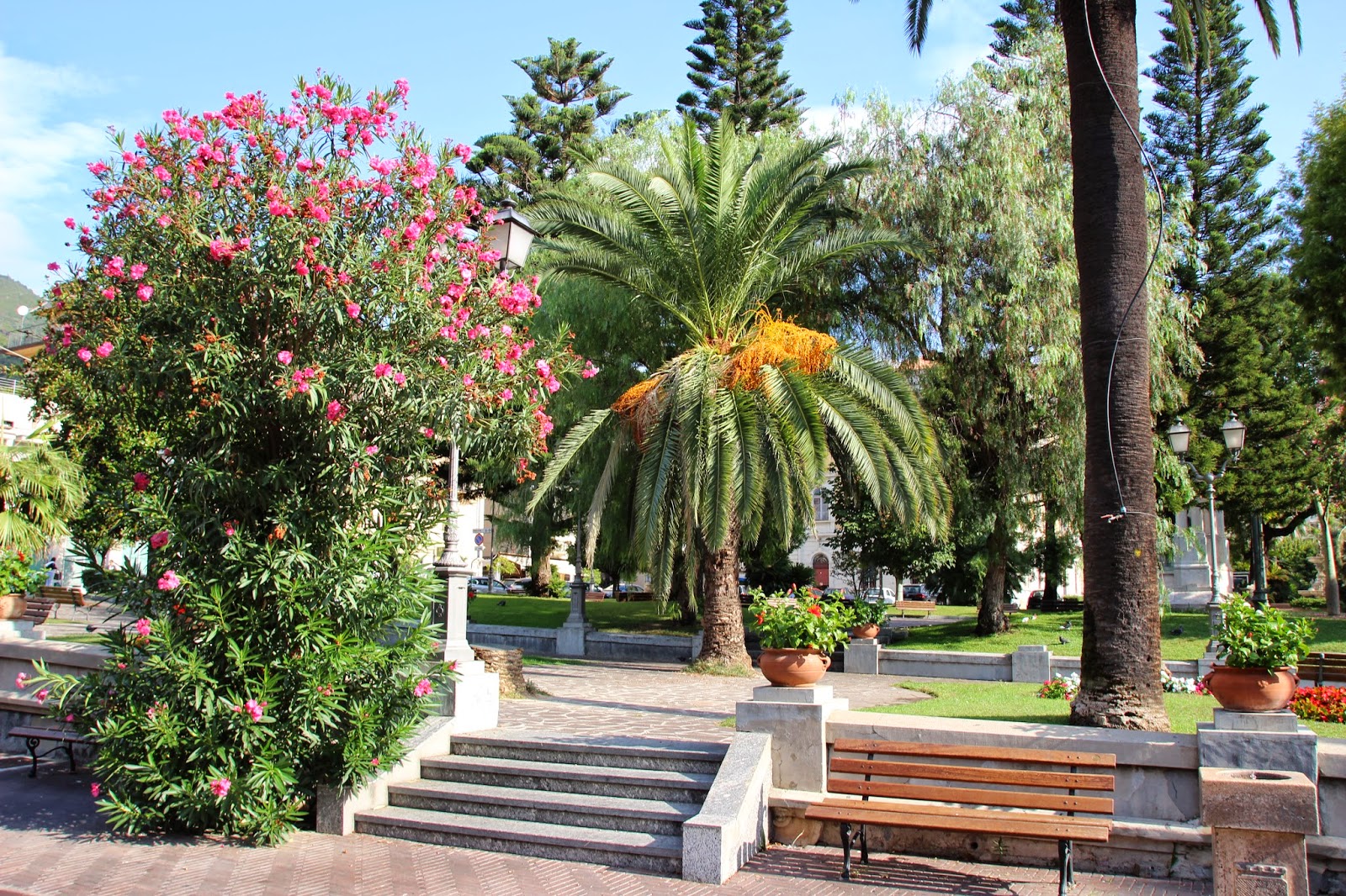 www.italiaansebloemenriviera.nl Last minute campings, last minute vakantiehuizen Italië, last minute vakantiehuis bloemenrivièra, vakantiehuizen bloemenrivièra, vakantiehuizen Ligurië, vakantiewoningen bloemenrivièra, vakantiehuis huren Italië, vakantieappartementen Italië, accommodatie bloemenrivièra, vakantiehuizen bloemenrivièra Italië, autovakantie bloemenrivièra, huisje bloemenrivièra, huis huren Italië bloemenrivièra, bloemenrivièra bungalow, vakantiehuizen Ligurië, vakantievilla bloemenrivièra, vakantiehuisje bloemenrivièra, vakantie bloemenrivièra 2015, vakantiehuis Ligurië, bloemenrivièra Agriturismo, bloemenrivièra vakantiepark, vakantie bloemenrivièra, bloemenrivièra Italië, vakantiehuis Italië, vakantiewoning bloemenrivièra www.italiaansebloemenriviera.nl Last minute campings, last minute vakantiehuizen Italië, last minute vakantiehuis bloemenrivièra, vakantiehuizen bloemenrivièra, vakantiehuizen Ligurië, vakantiewoningen bloemenrivièra, vakantiehuis huren Italië, vakantieappartementen Italië, accommodatie bloemenrivièra, vakantiehuizen bloemenrivièra Italië, autovakantie bloemenrivièra, huisje bloemenrivièra, huis huren Italië bloemenrivièra, bloemenrivièra bungalow, vakantiehuizen Ligurië, vakantievilla bloemenrivièra, vakantiehuisje bloemenrivièra, vakantie bloemenrivièra 2015, vakantiehuis Ligurië, bloemenrivièra Agriturismo, bloemenrivièra vakantiepark, vakantie bloemenrivièra, bloemenrivièra Italië, vakantiehuis Italië, vakantiewoning bloemenrivièra