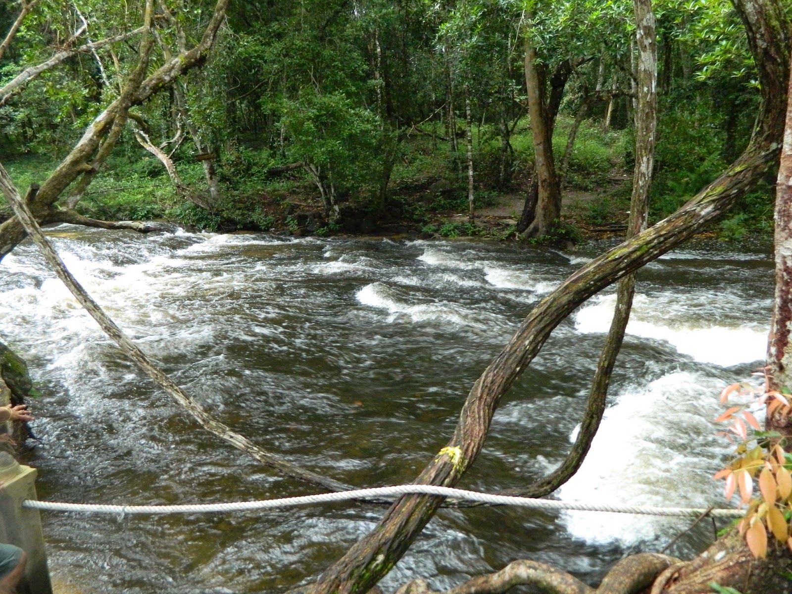 To reach the 1000 Lingas in Kulen mountains To reach the 1000 Lingas in Kulen mountains
