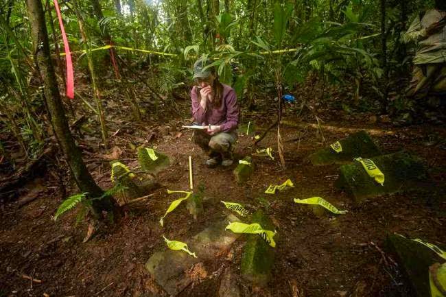 RÃ©sultat de recherche d'images pour "lost city honduras found"