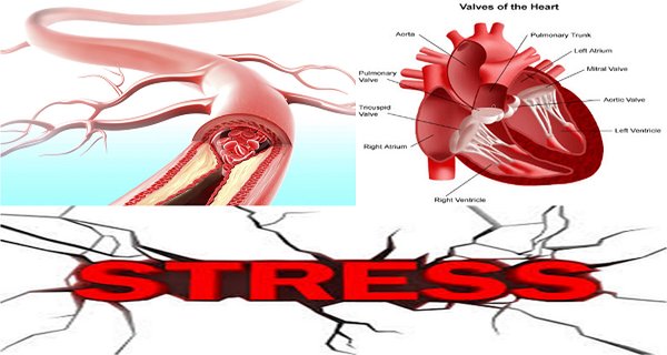 Eat This Healing Mixture And You Don’t Have To Worry About Heart Diseases, Blood Vessels And Stress! Eat This Healing Mixture And You Don’t Have To Worry About Heart Diseases, Blood Vessels And Stress!