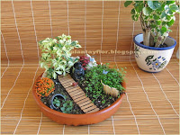 Mini jardines