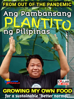 Ang Pambansang Plantito ng Pilipinas
