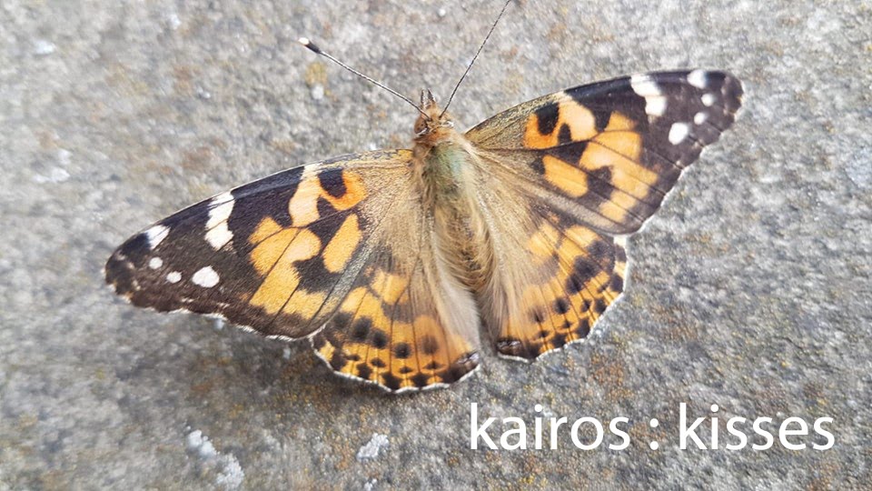 kairos : kisses