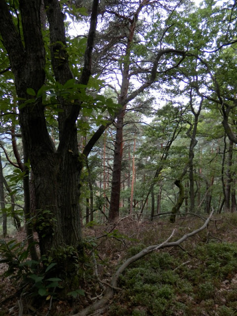 cercle de rencontres heidelberg