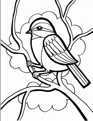 Bird Coloring Pages