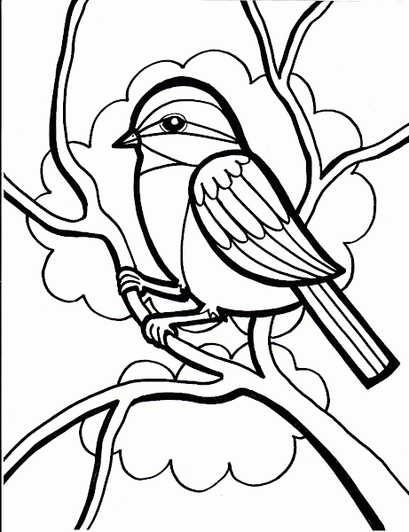 Birds Coloring Pages Kids