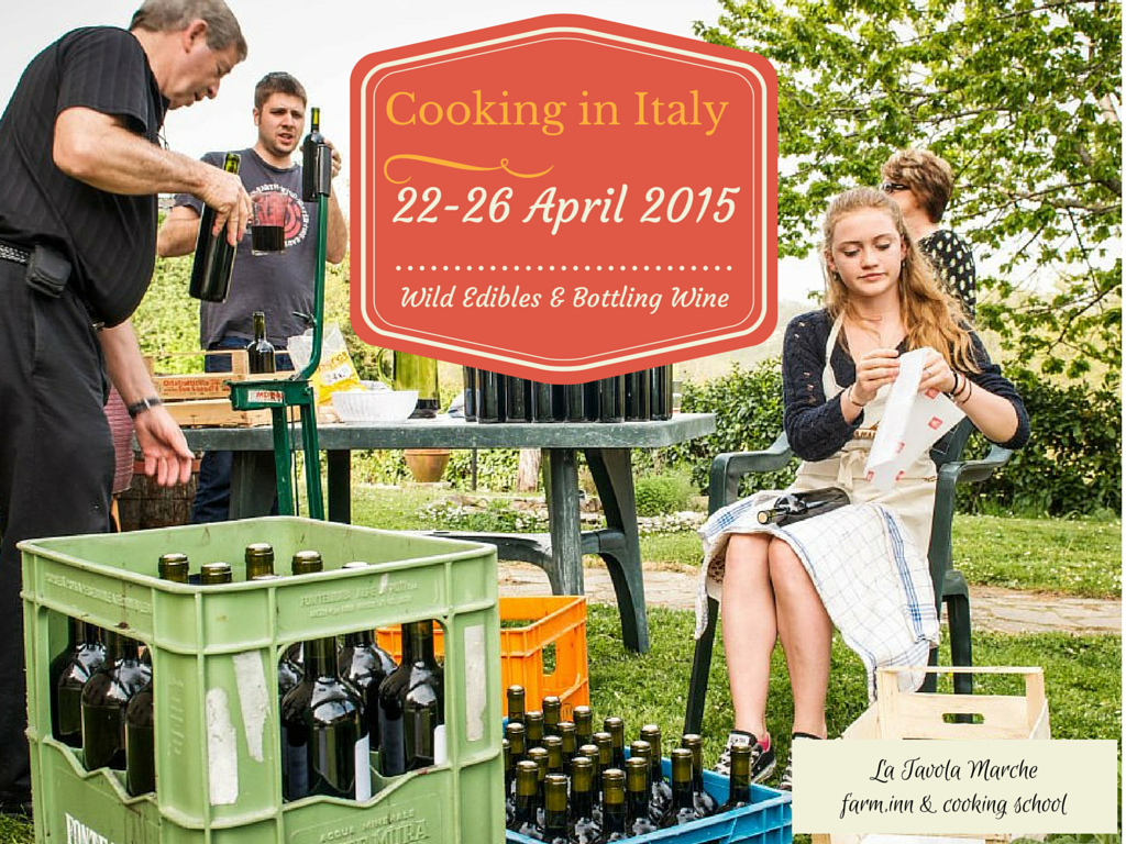 La Tavola Marche Cooking in Italy Wild Edibles & Bottling Wine April