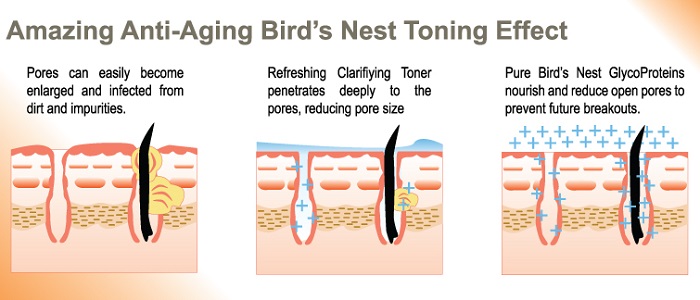 Three bird nest coupon code